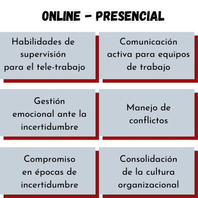 Habilidades de supervisión para el Tele-Trabajo